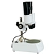 Binocular Stereo Microscope